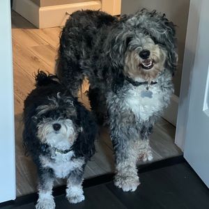 Meet your Posher, Monica